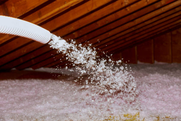 Best Commercial Insulation in Roman Forest, TX