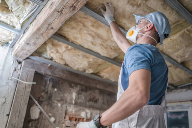 Types of Insulation We Offer in Roman Forest, TX