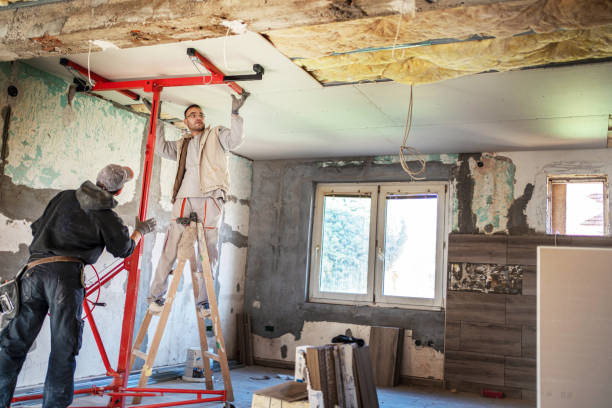Best DIY Insulation Kits and Guidance in Roman Forest, TX