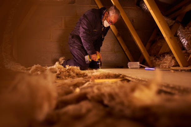 Best Spray Foam Insulation in Roman Forest, TX